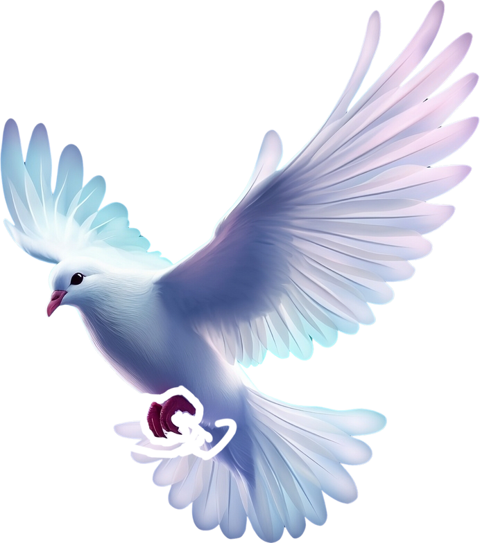 Flying white dove of peace isolated on transparent background