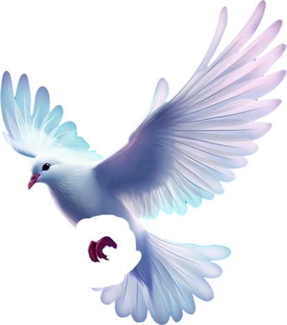 Flying white dove of peace isolated on transparent background