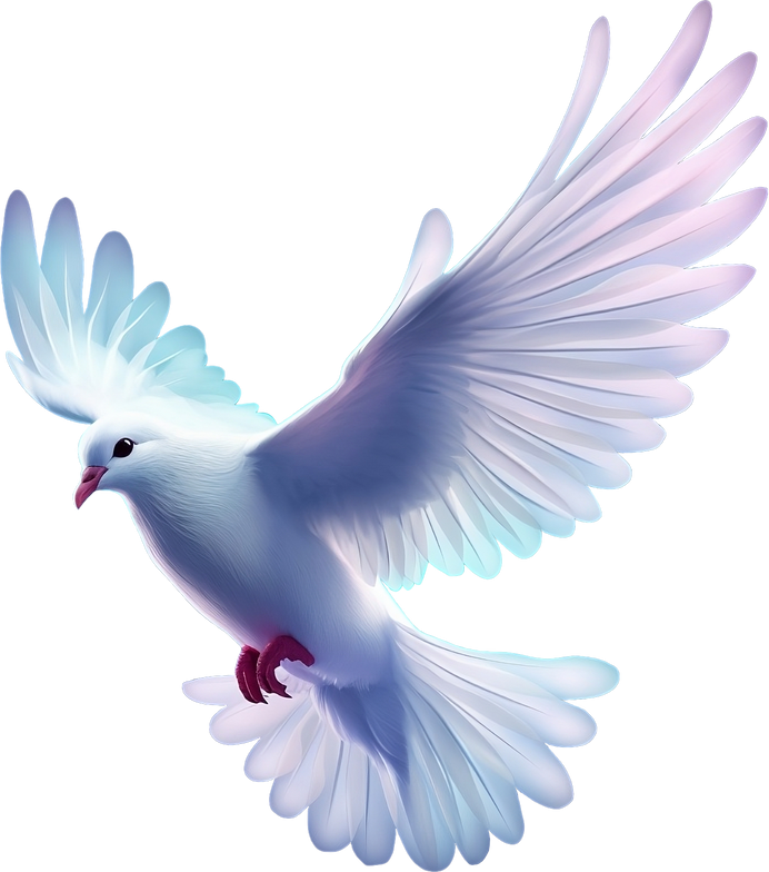 Flying white dove of peace isolated on transparent background